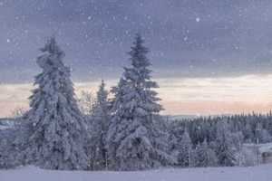 五十六个民族五十六朵花歌词(五十六个民族歌词什么时候改成星座了)