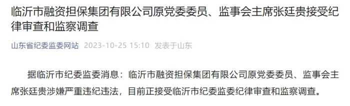 临沂市融资担保集团有限公司原党委委员、监事会主席张廷贵接受审查调查