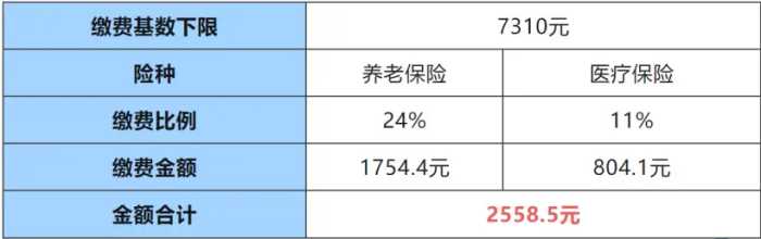 蚂蚁社保小课堂：外地人在上海，社保怎么自己缴费？